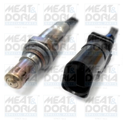 Oxygen Sensor